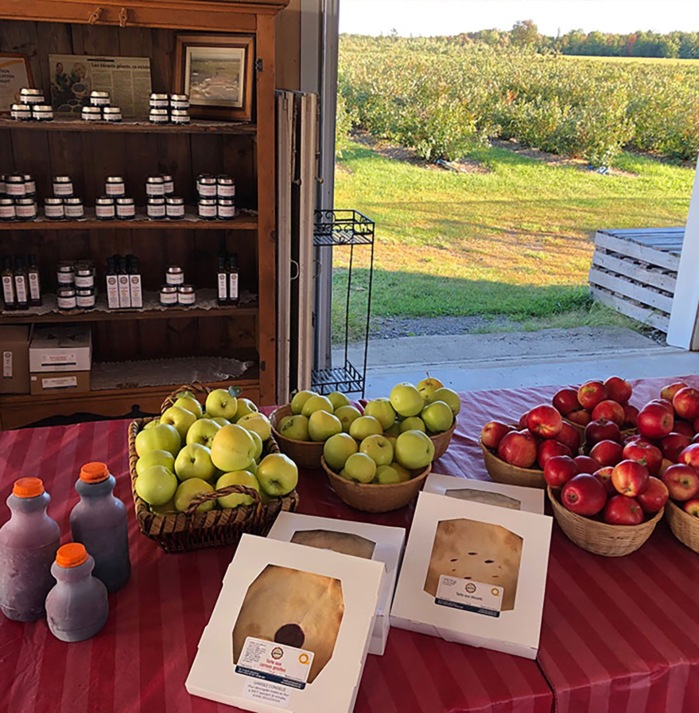 Kiosque maraîcher offrant fruits frais et produits du terroir à Saint-Gervais